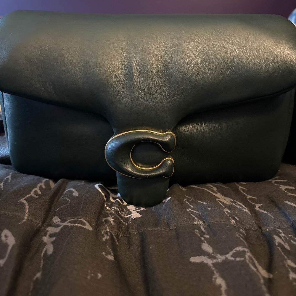 Coach pillow tabby